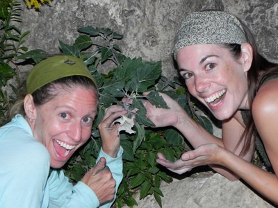 Fellows find Datura in Jack's Canyon