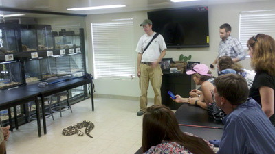 Herpetological 2012